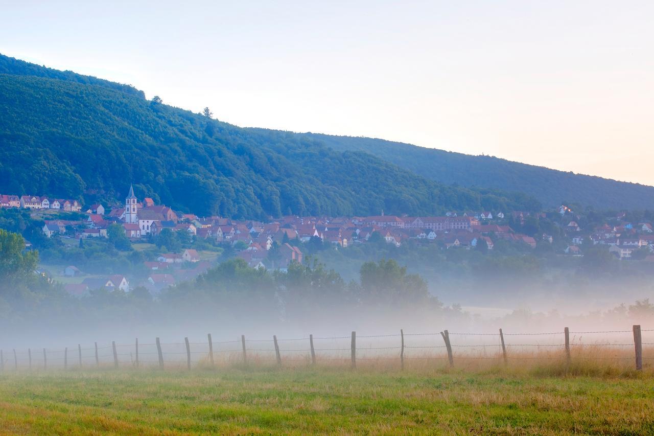 Hotellerie Du Couvent Oberbronn ภายนอก รูปภาพ